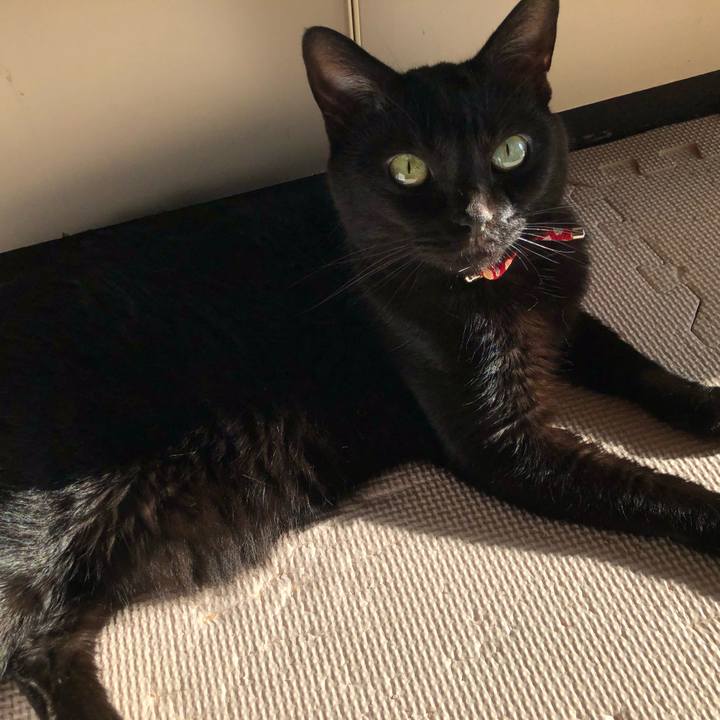 Dfbd6759 94a9 4d50 8793 68abc12ac08c 1630020219442