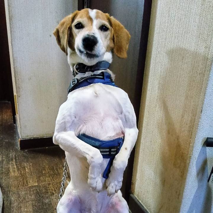 Dfbda39c 3a1d 447c 8de3 428b834c003f 1744975152109