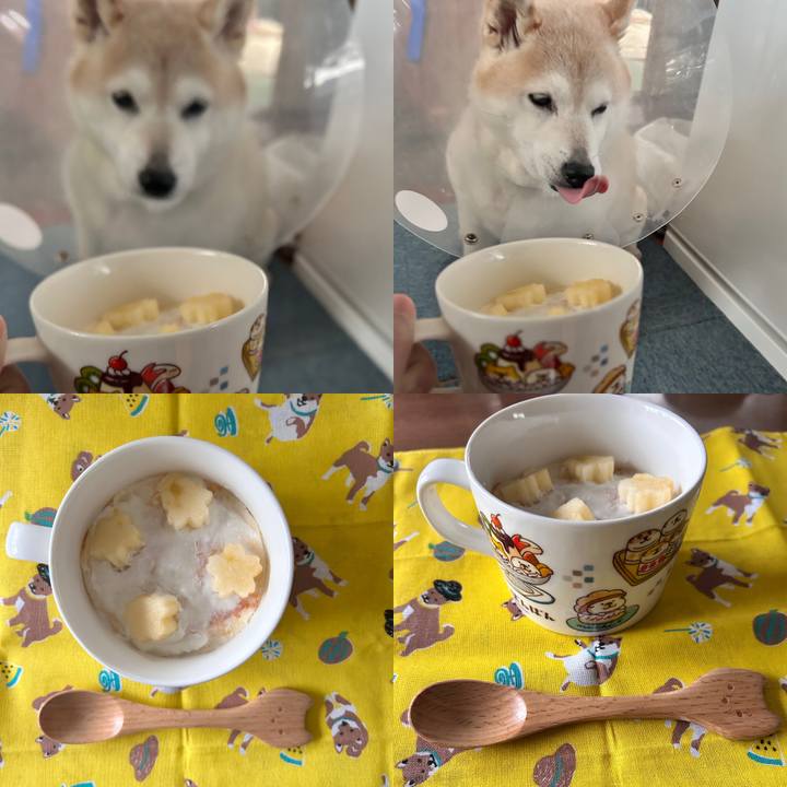 Dfbdbffc f43c 407e baea 2fc27f6a182a 1735894580903