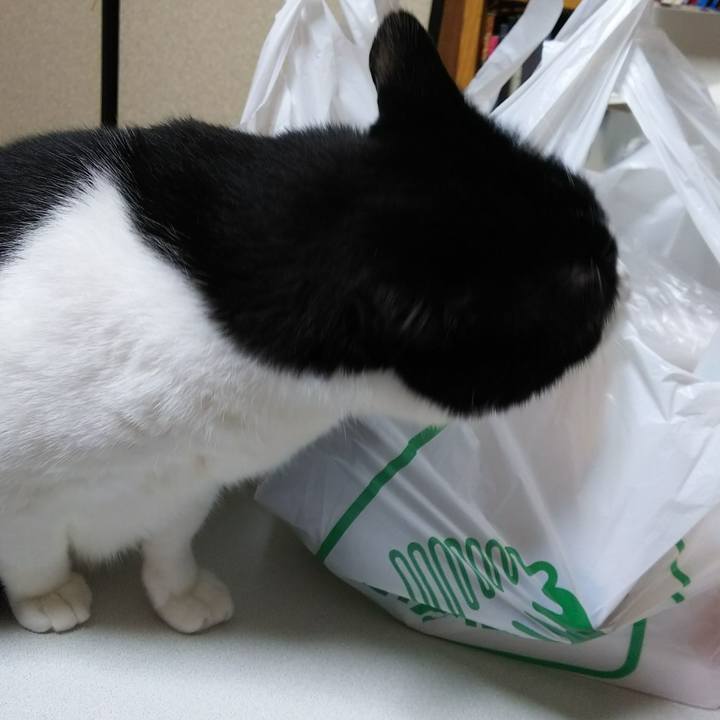 Dfbdc807 d4fa 4e09 ad88 99625d7064c7 1527939394375