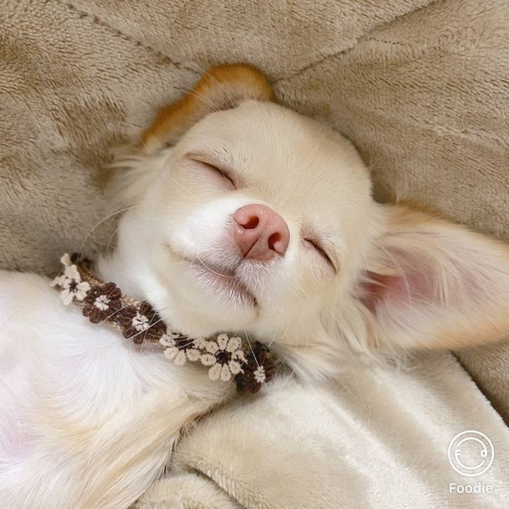 Dfbdcf96 b03d 48a1 9806 5e54256d8e96 1604664767775