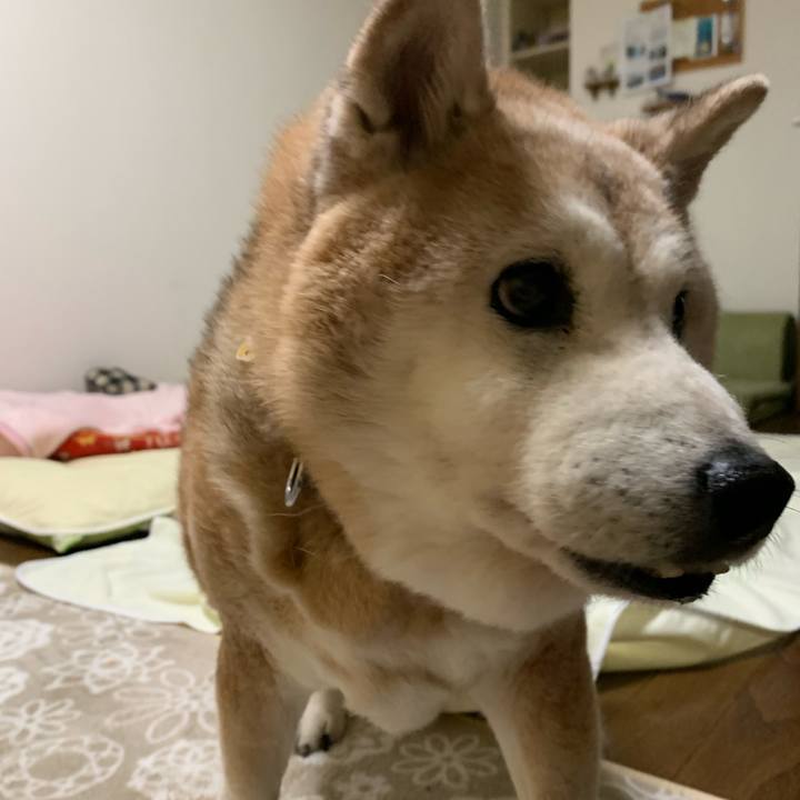 Dfbdee6d a1bd 417e aa50 4e8894dfe76c 1666875394420