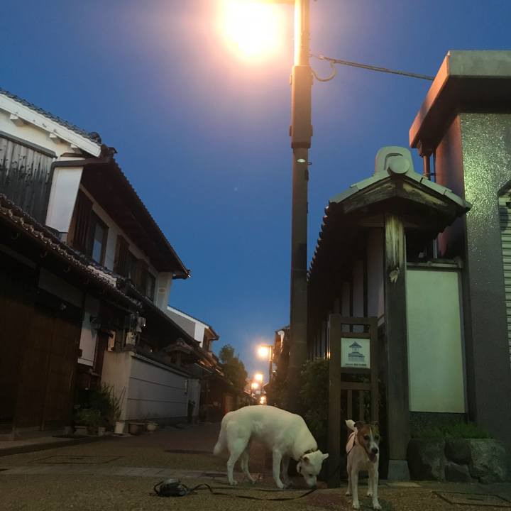 Dfbdf485 03d2 4842 9f42 c8602caf901d 1535280737513