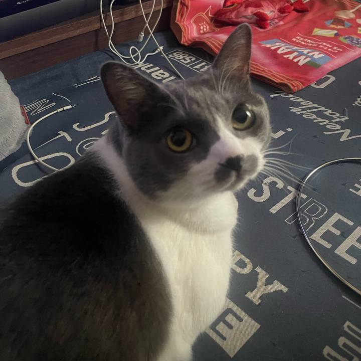 Dfbe056f 7626 4bec 9f32 1dd5003e487b 1727996769195