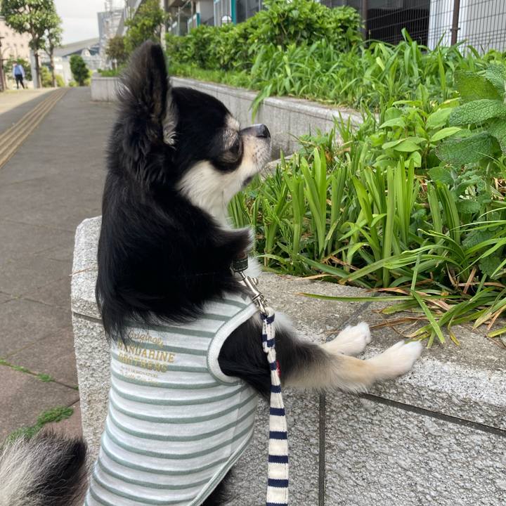 Dfbe1eb9 04e0 431b 9478 de38fa87dc63 1619237993473