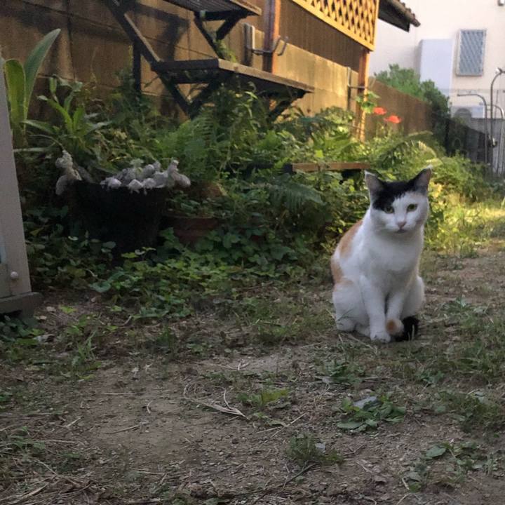 Dfbe3a78 26e4 41ff 9270 7ab8baefe922 1601470752420