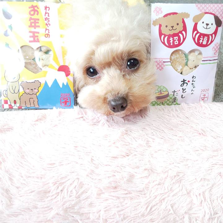 Dfbe5dd8 f8d9 4369 b714 caf6f6b118d1 1578395379728