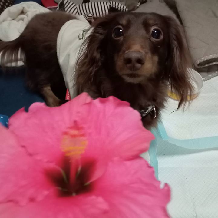 Dfbe6788 5e14 49b8 9c04 8499a33f2827 1767822989060