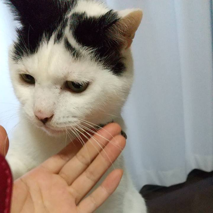 Dfbe6f4f 526a 4519 89ba 417bd209bcbf 1668238062480