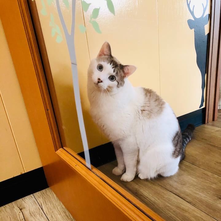 Dfbe97d6 a8bd 4fc6 bea5 f15c7809f05b 1578446349905