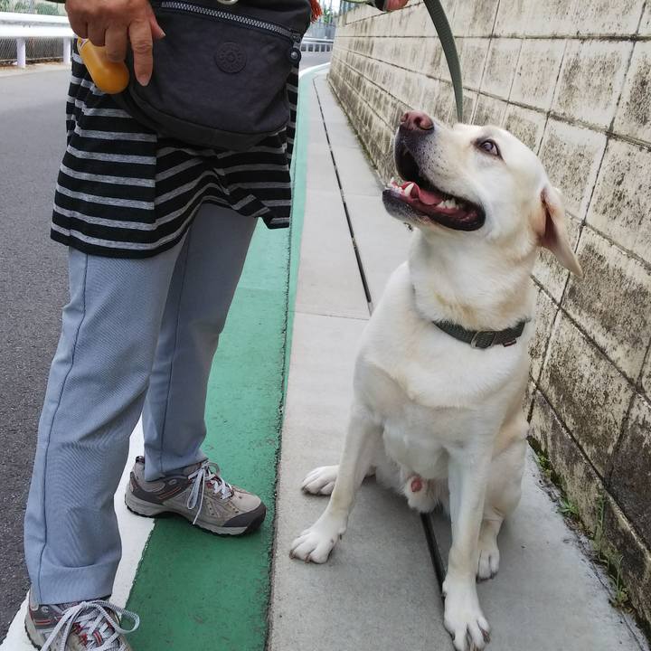 Dfbed860 70be 4a48 9ca3 595f525bb505 1526557048536