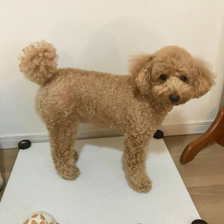 Dfbed9bd 4974 4153 94d4 83c8b4fb4f8e 1532425725442