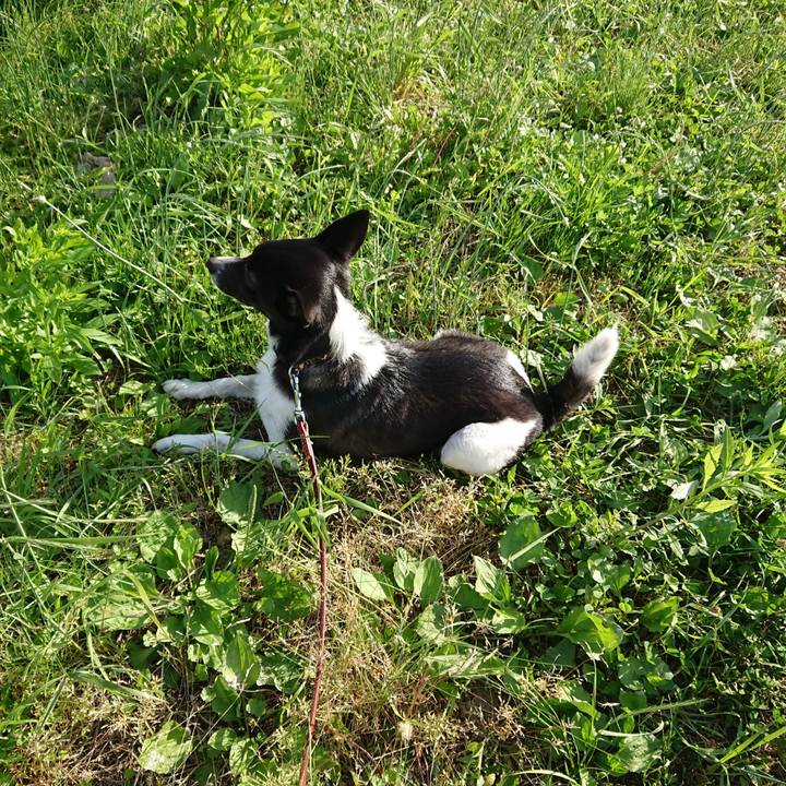 Dfbee83f 53e4 4499 8bd0 31b285462337 1526991504699