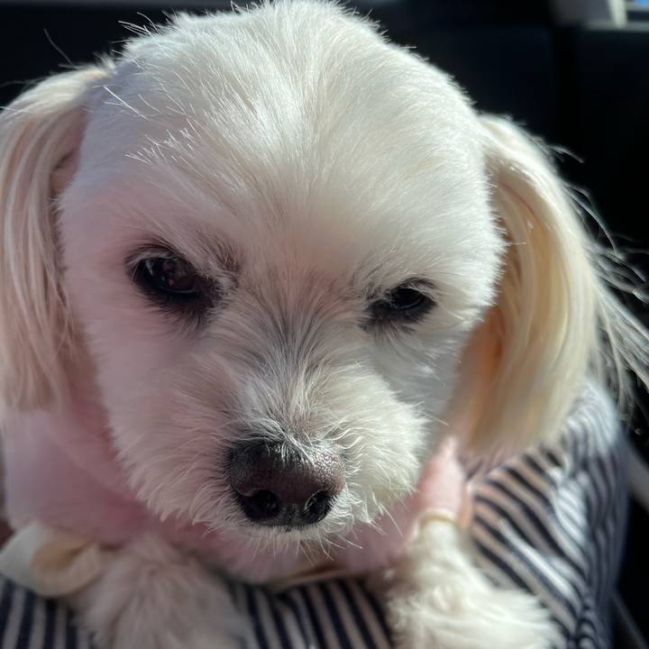 Dfbf51cc 0415 4420 a37a facb66b84c92 1671446670215