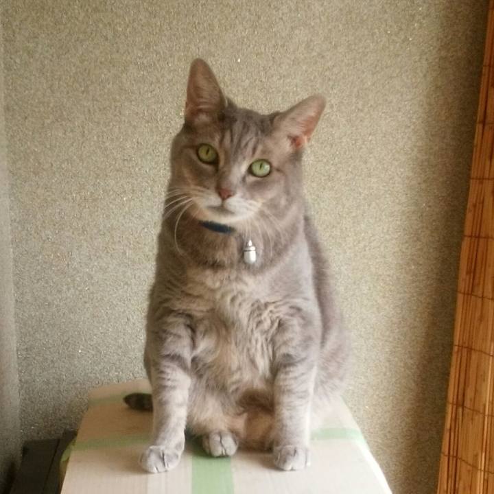 Dfbf91c3 8c87 4b16 bf91 46bfefc893ce 1571542809223