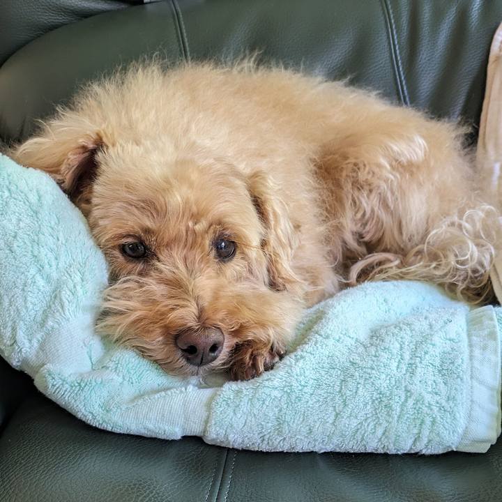 Dfbfbc0d 753e 474d a6a4 c30d4c81a1a6 1717293670343