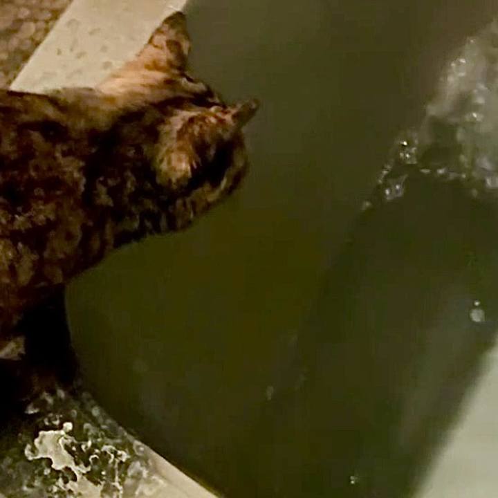 Dfbfd846 936f 4884 9639 8112c442cbdb 1745178361796