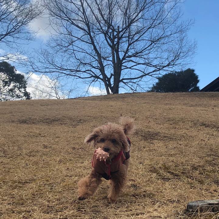 Dfbfe2ee 1c54 4fd2 897b f413f28b3a9a 1548382741793