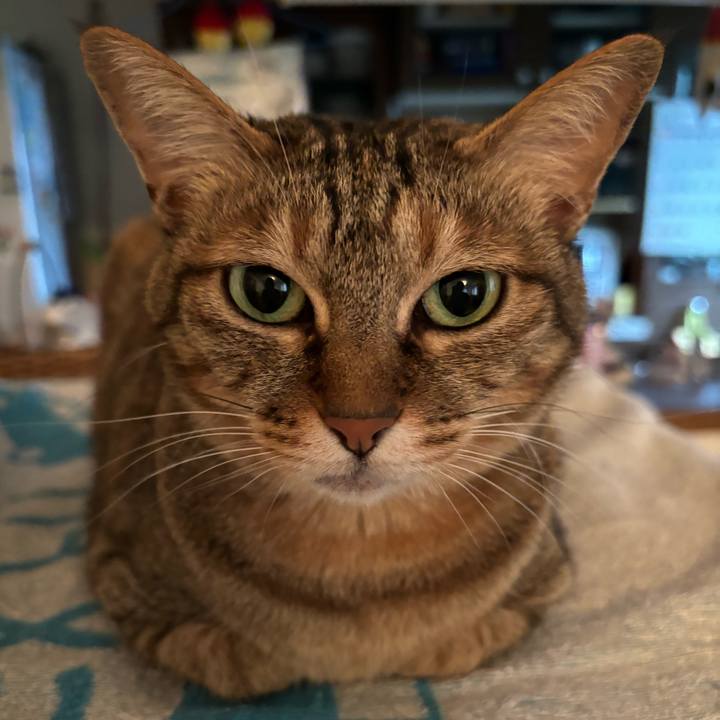 Dfbffc86 9d5e 43b2 9ff5 a1a6da0b8490 1713655963651