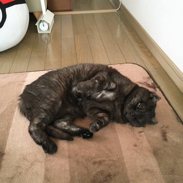 Dfc02897 c588 4823 a451 5b39d8bc6da1 1588992331194