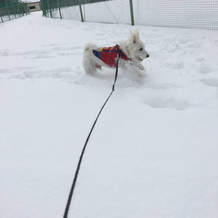 Dfc02ddc 4768 47ab 8eec 98c5dcbc132e 1518546884129