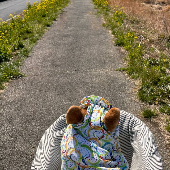 Dfc039c1 5332 42e7 b39f 82f34890208a 1773457847259