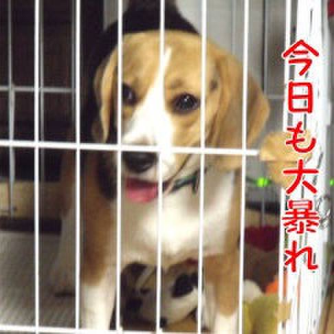 Dfc056f2 b7e6 49ed 9e31 17c0ed3d2044 1692835526604