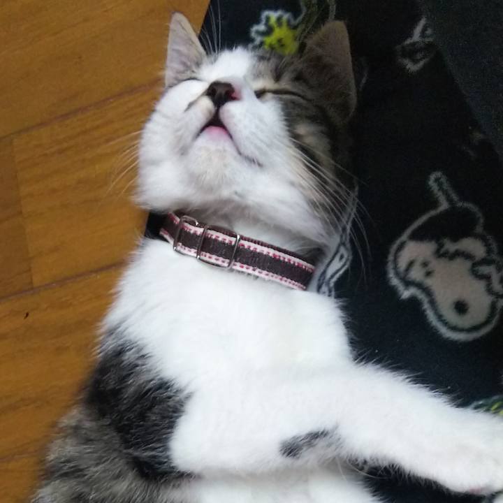 Dfc059fb eb7f 4f3e 9652 ee3ed92c8f2c 1608718792735