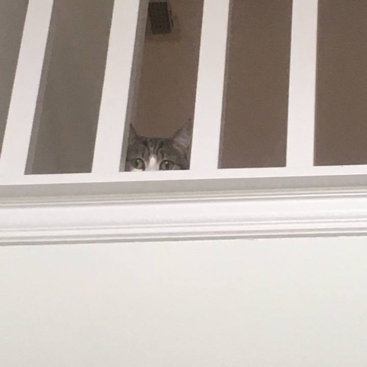 Dfc06ff4 c3cd 4fad a705 07043e592b6a 1646964571196