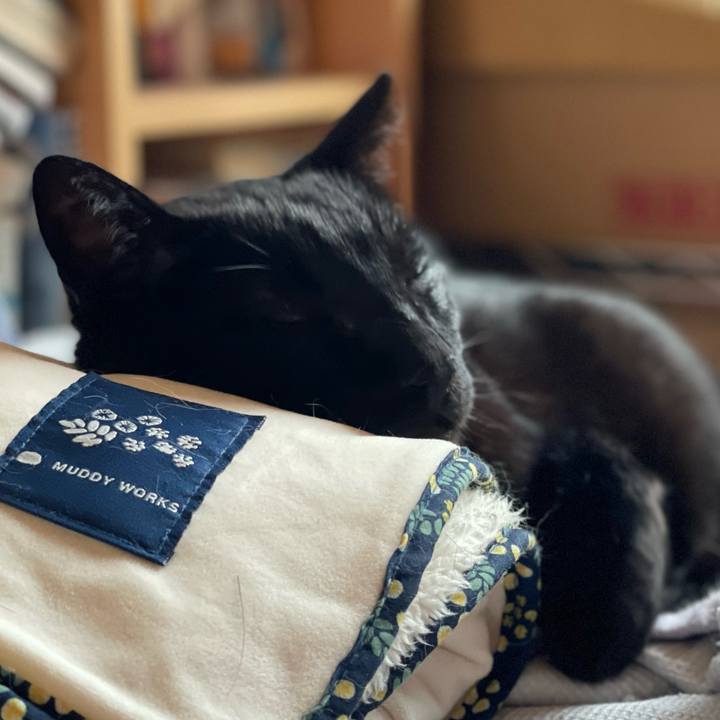 Dfc0a969 5af0 4baf af2e 676580bc4b54 1654481382417