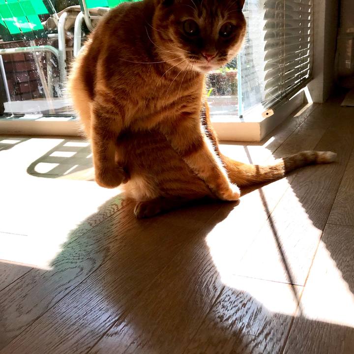 Dfc0e4fe ff1a 4b39 94b5 c253691097be 1520845494363