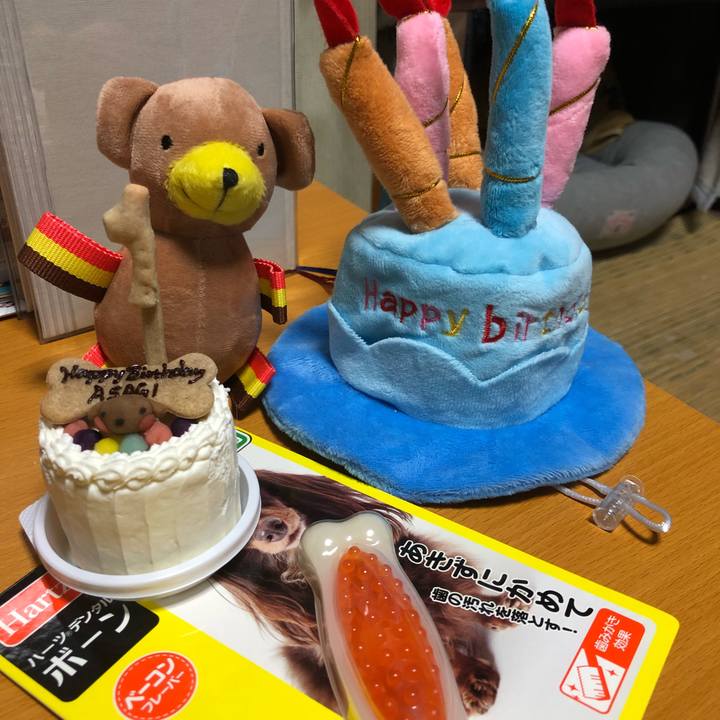 Dfc0ef70 248b 495d 99c9 3fdfe5a9fb5d 1519729860071