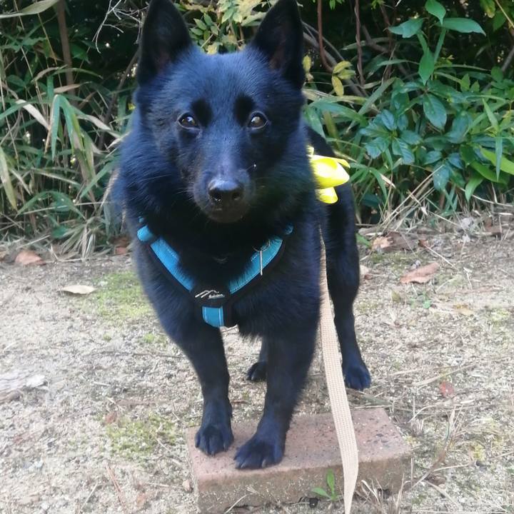 Dfc0fe34 c41a 4912 ab0b 1d04484bb3bd 1637365532576