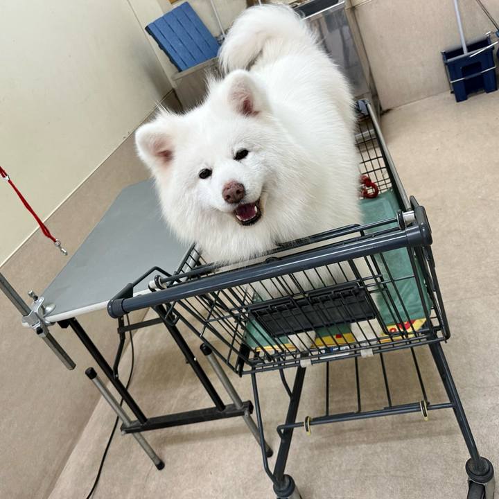 Dfc10543 5b1a 40fe 9ab9 dab4f49f62bc 1673749878804