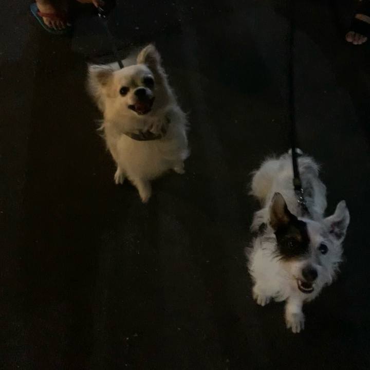 Dfc12363 fee2 40d0 b62a dc66082e0334 1659185215044