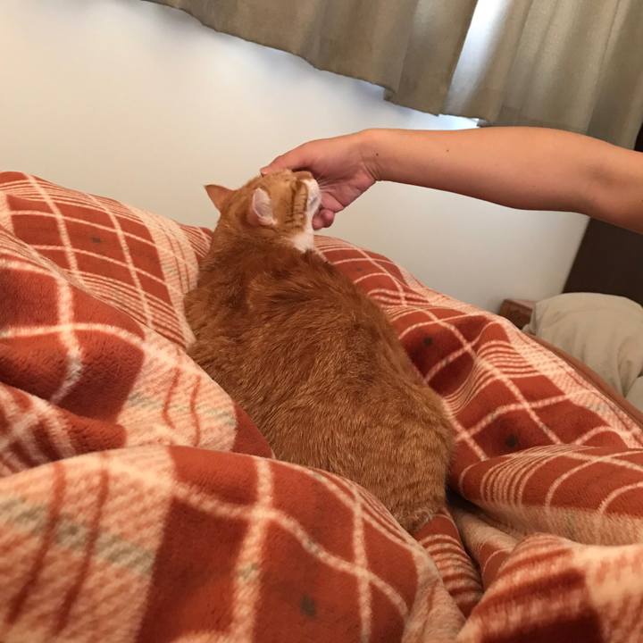 Dfc1a9cd 5d92 44cd 8f18 af216a29d6da 1547681419966