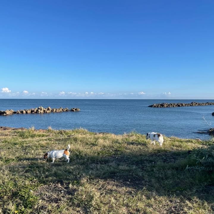 Dfc1cac3 3529 4d0d 97bb b34edb0e3b08 1728691857128