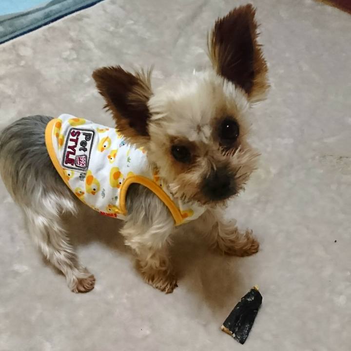 Dfc1d87e fe7f 4dec 9ade df06c85ce4d9 1516451564627