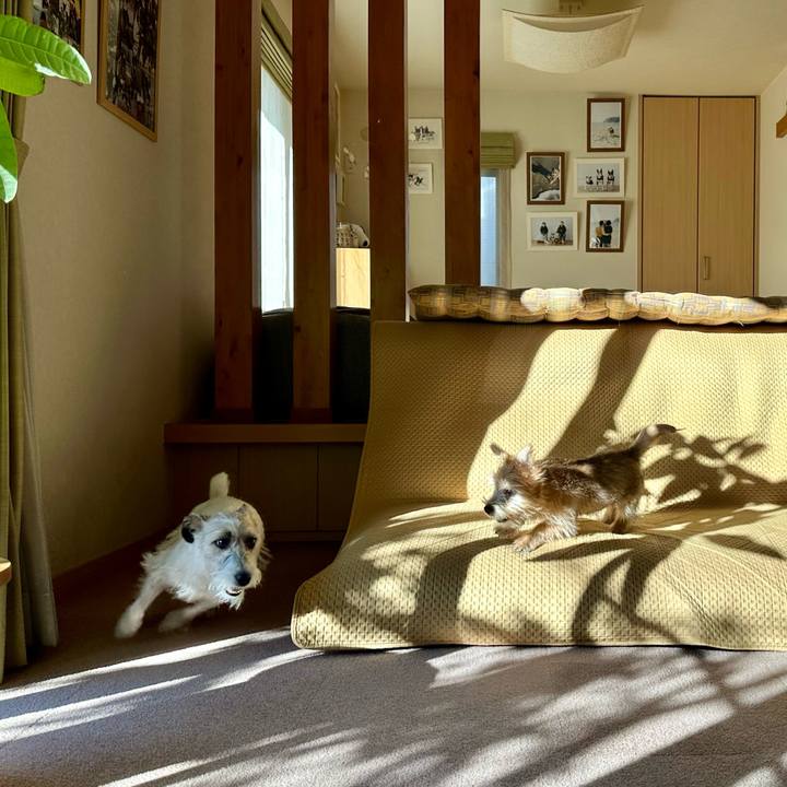 Dfc1df4c a5e2 4ce0 8386 ebb60cb1967e 1703381080651