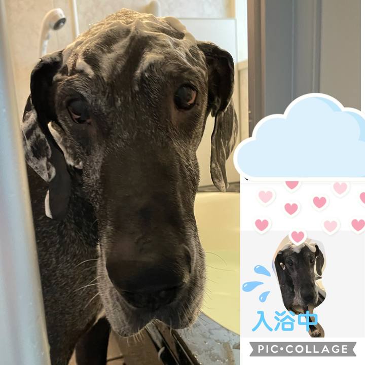 Dfc24a3b 4ac1 4d8e b760 554dd0770ad1 1613189521122