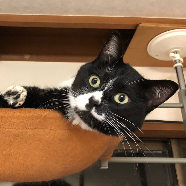 Dfc2543f 2107 4e23 bffe fdc8981302e5 1583984540670