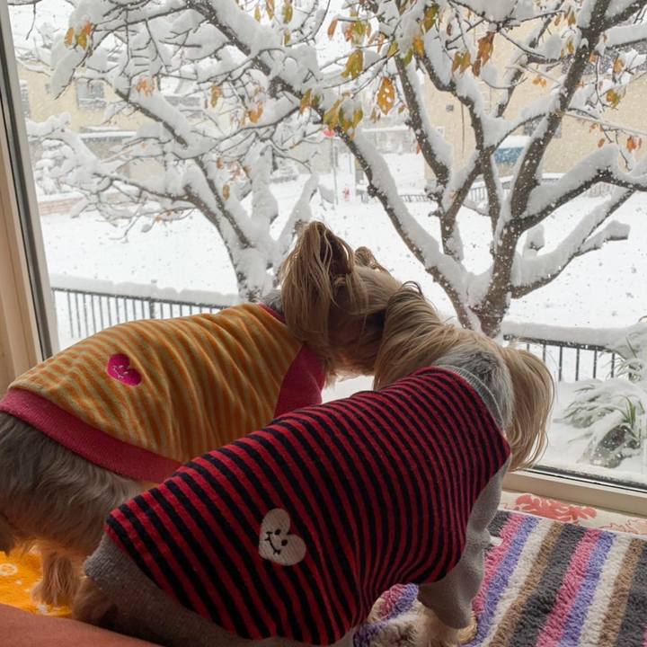 Dfc25d79 6232 4c1f 9625 67fc1b45c2fc 1637834227945