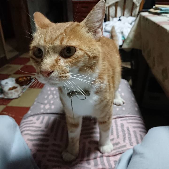 Dfc26e09 8f9e 4adf 8b06 d1989f692704 1594931891418