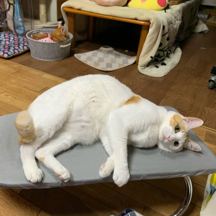 Dfc27aae 1e55 44a7 a213 f1cf7deb231b 1579783741921