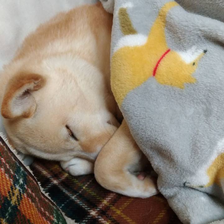 Dfc2a28c 2a52 40eb 9dfc c3ba2907d2c4 1515240861440