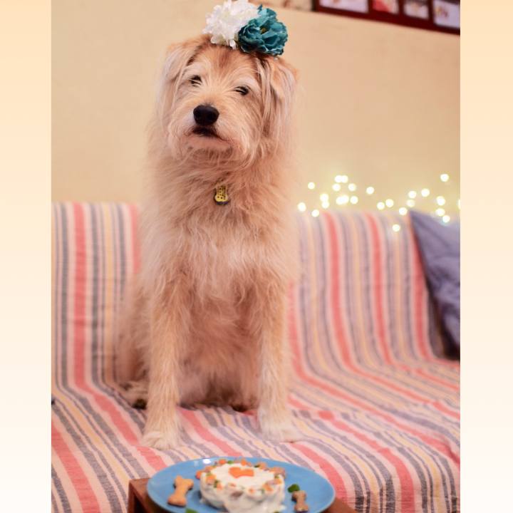 Dfc2bea8 086d 4a36 8fd9 b517a0dc4e1a 1585744829939