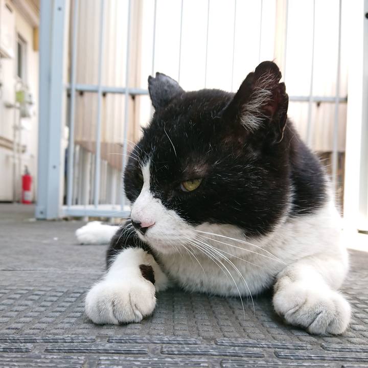 Dfc2f5d3 f44b 44e2 8177 684f3d9b69de 1557545849888