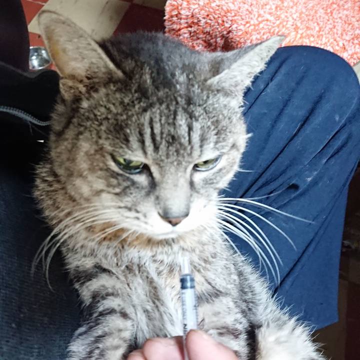 Dfc2ffce 9df7 43f3 8604 f75b26ab438c 1580161450380