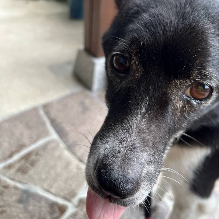 Dfc30eef b578 40c6 bead 92202072a10d 1686700468010