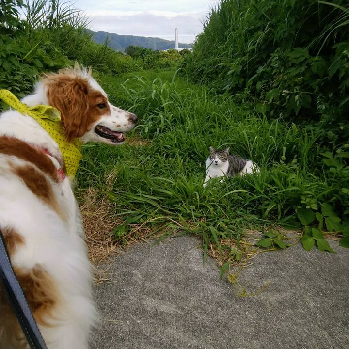 Dfc32c9f c45e 403d b0ab 8c53d29d9364 1565006228695